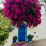 Sea House