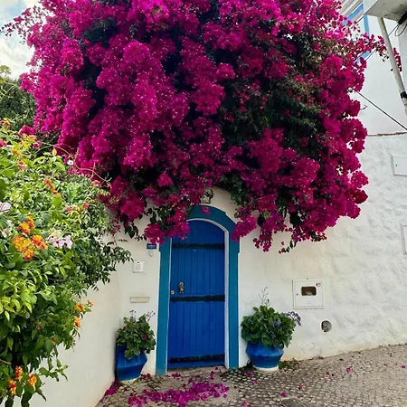 Sea House